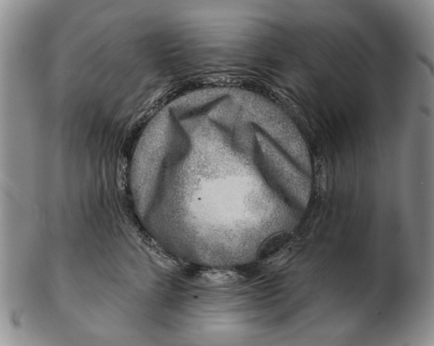 X0000102790712200809081049