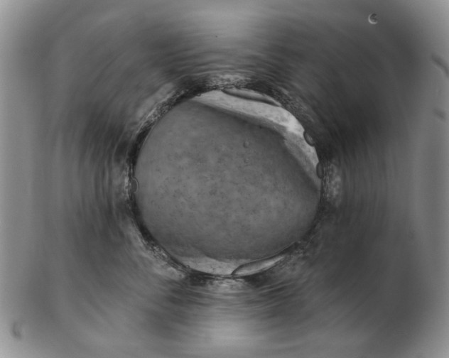 X0000102790716200809081049