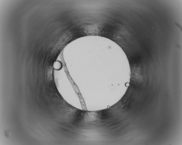 X0000102790717200809081049