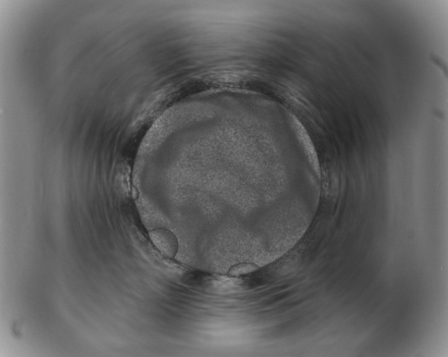 X0000102790718200809081049