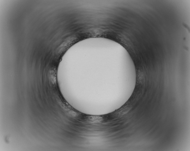 X0000102790719200809081049