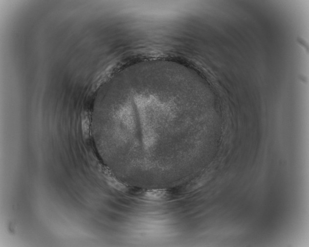 X0000102790720200809081049