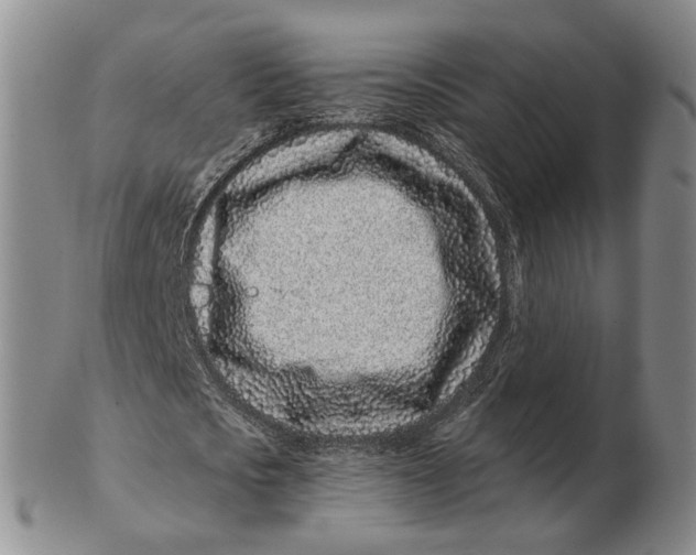 X0000102790721200809081049