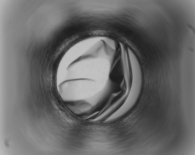 X0000102790722200809081049