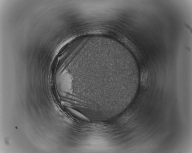 X0000102790724200809081049