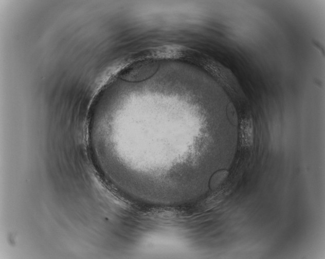 X0000102790726200809081049