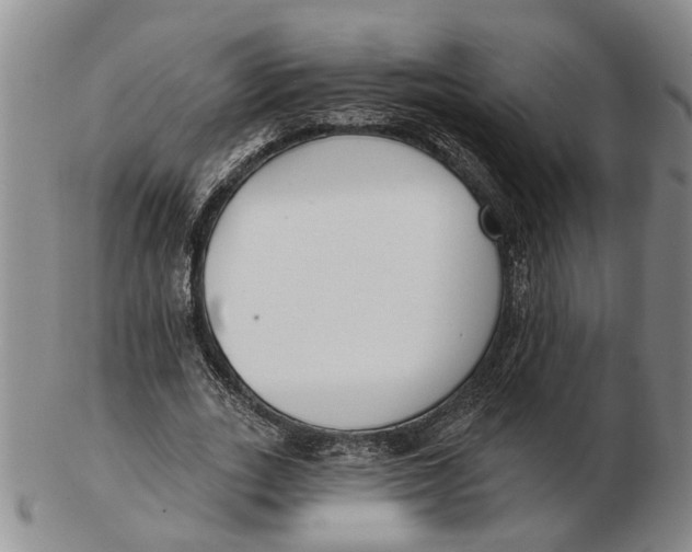 X0000102790727200809081049