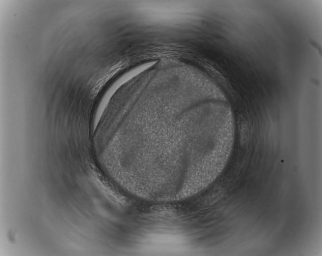 X0000102790729200809081049