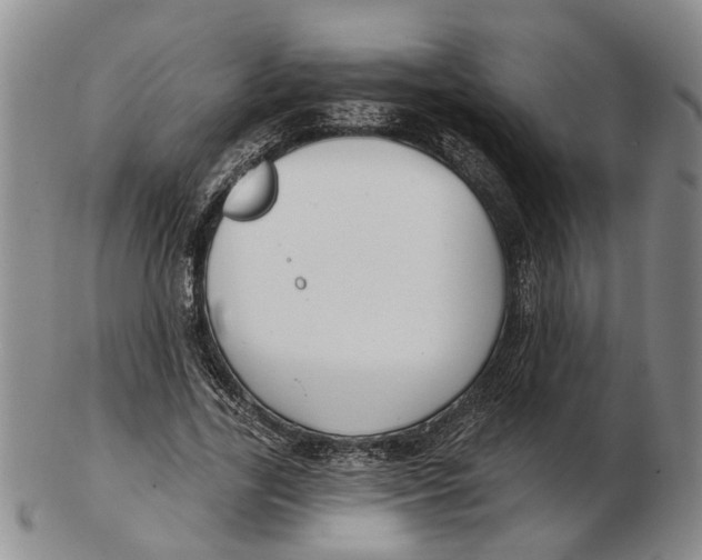 X0000102790731200809081049