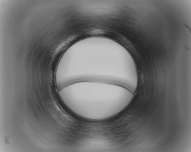 X0000102790732200809081049