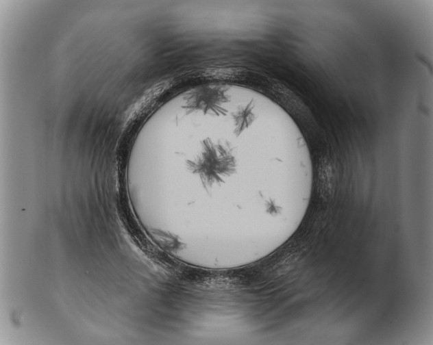 X0000102790734200809081049