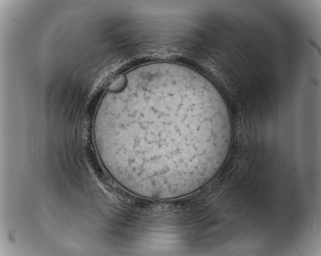 X0000102790736200809081049