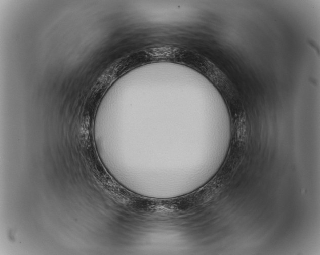 X0000102790737200809081049