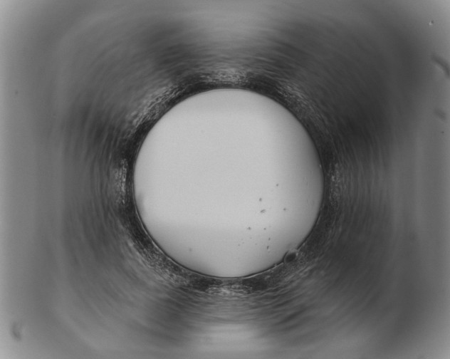 X0000102790739200809081049