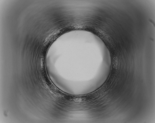 X0000102790740200809081049