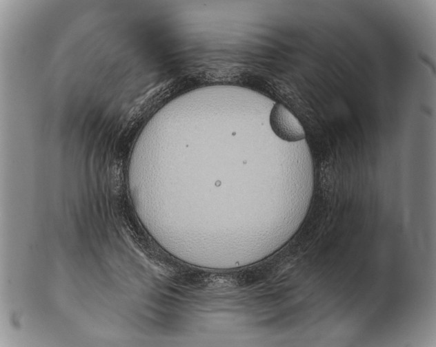 X0000102790741200809081049