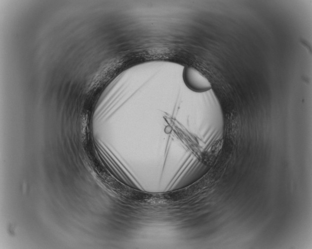 X0000102790742200809081049