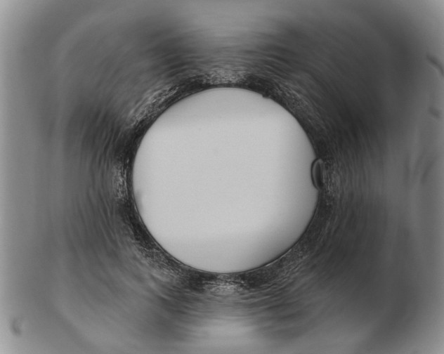 X0000102790743200809081049