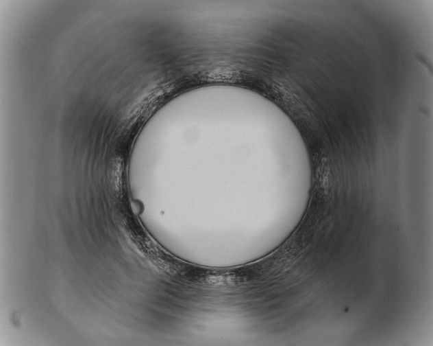 X0000102790744200809081049