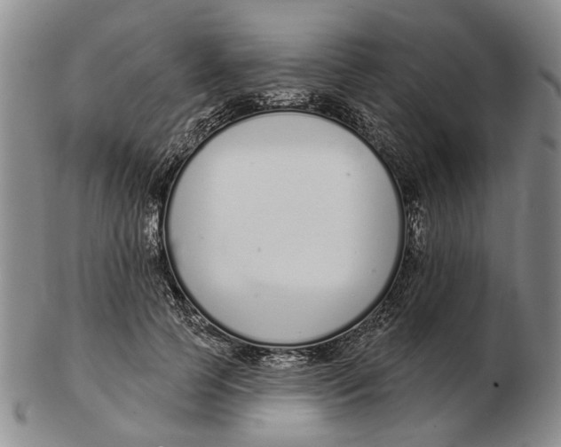 X0000102790745200809081049