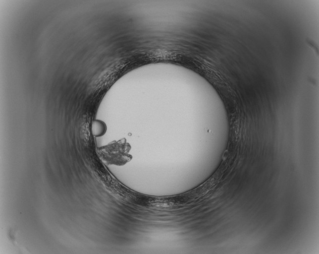 X0000102790746200809081049