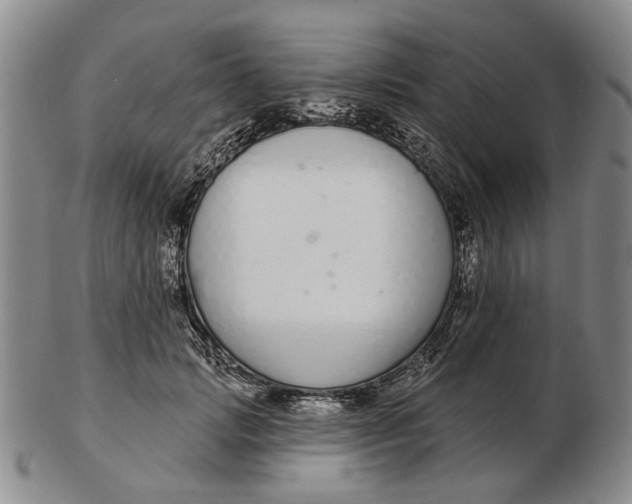 X0000102790749200809081049