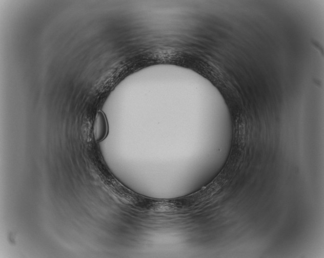 X0000102790750200809081049