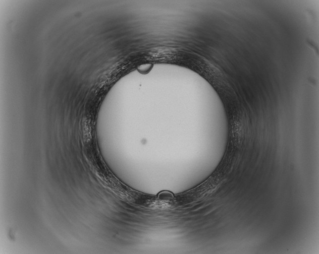 X0000102790751200809081049