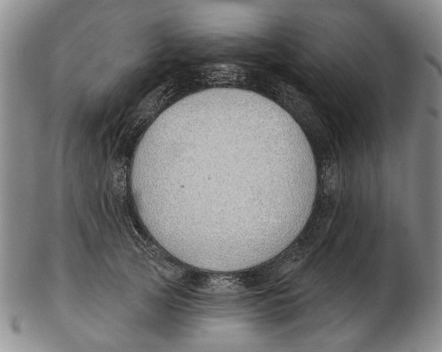 X0000102790753200809081049