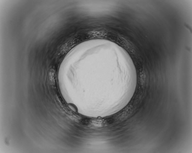 X0000102790757200809081049