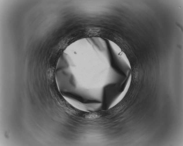 X0000102790759200809081049