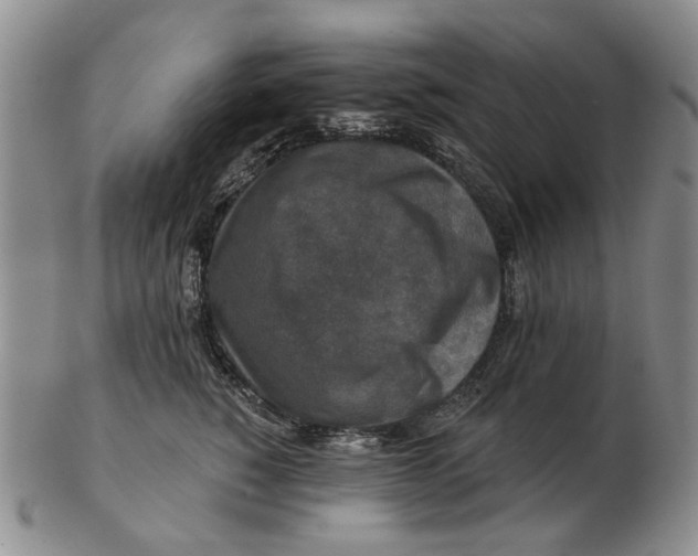 X0000102790760200809081049