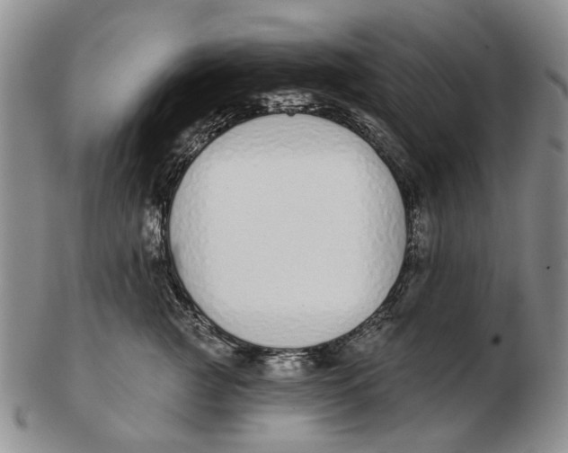 X0000102790761200809081049