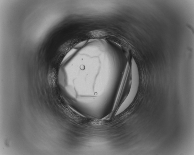 X0000102790762200809081049