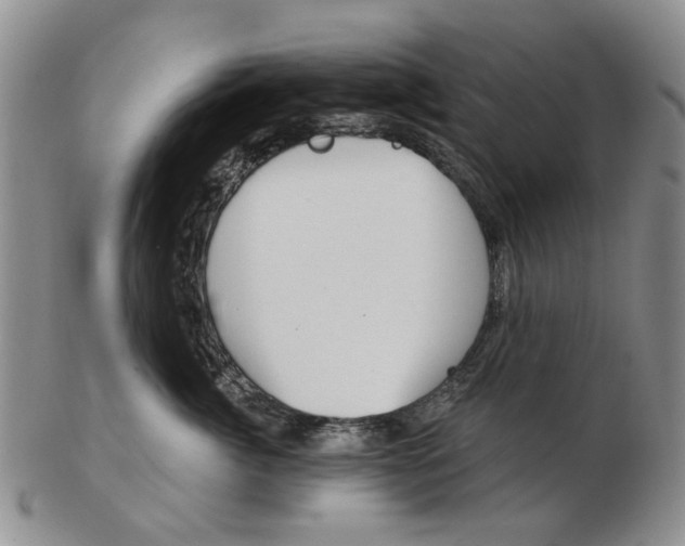 X0000102790764200809081049