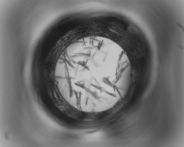 X0000102790765200809081049