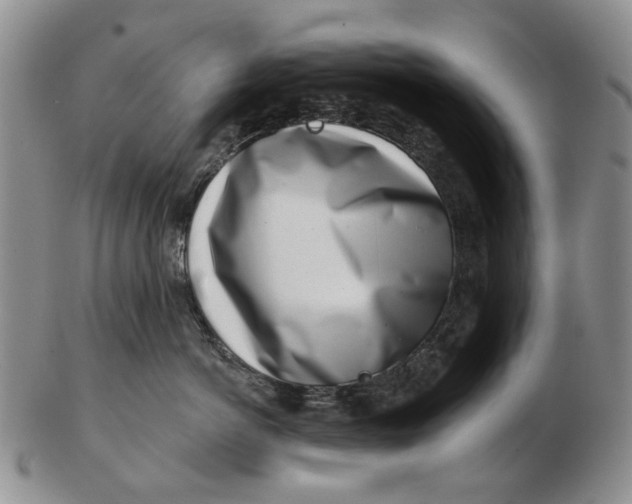 X0000102790766200809081049