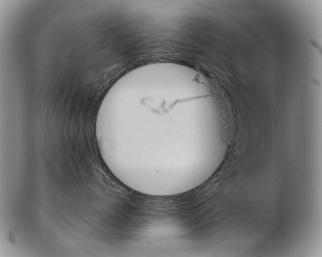 X0000102790768200809081049