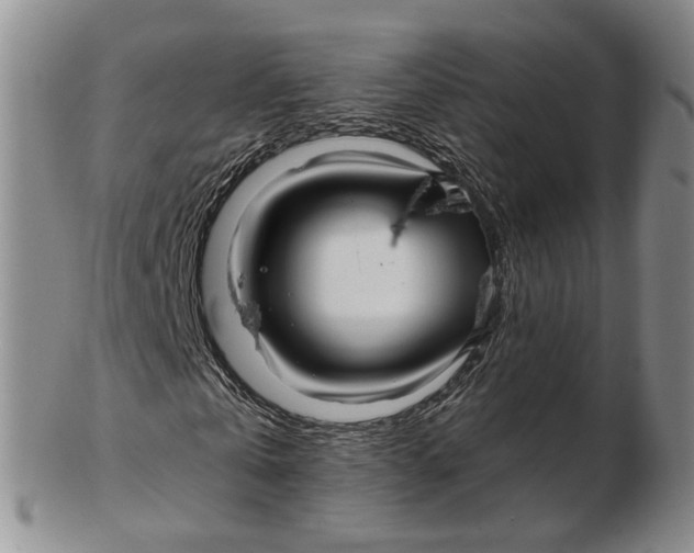 X0000102790769200809081049