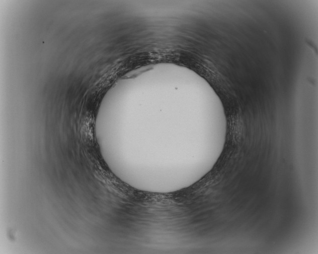 X0000102790770200809081049