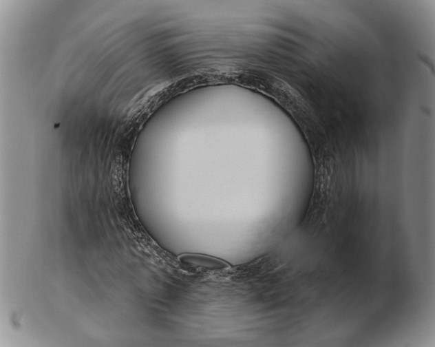 X0000102790773200809081048