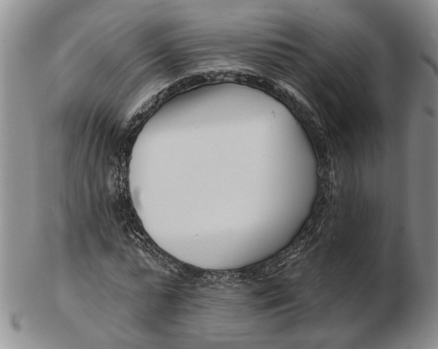 X0000102790775200809081048