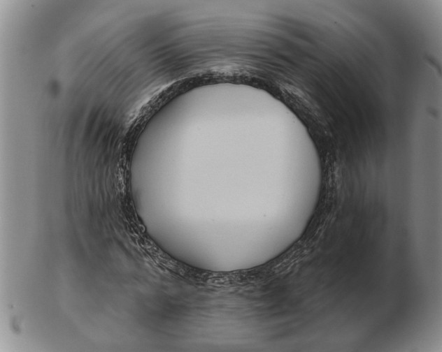 X0000102790776200809081048