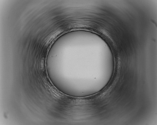 X0000102790777200809081048