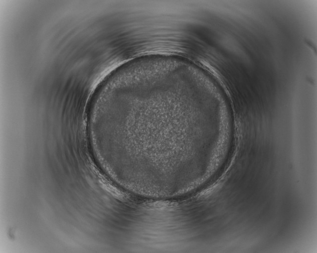 X0000102790779200809081048