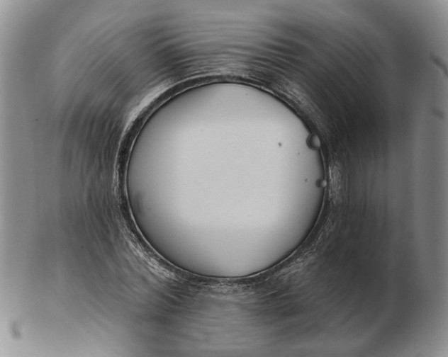 X0000102790780200809081048