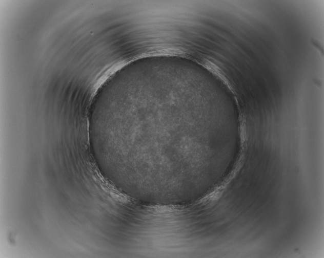 X0000102790781200809081048