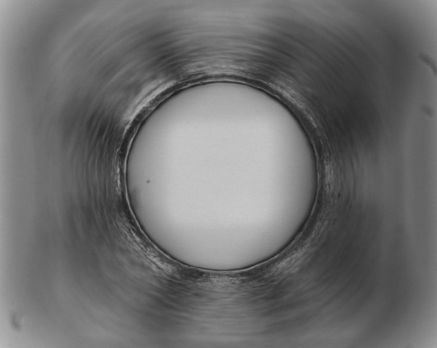 X0000102790782200809081048