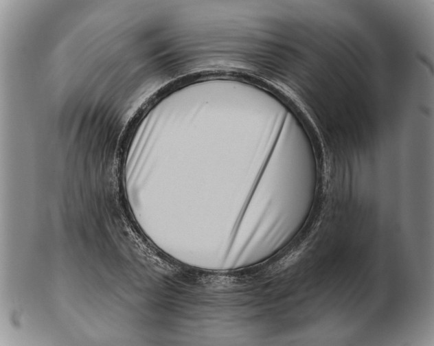 X0000102790783200809081048