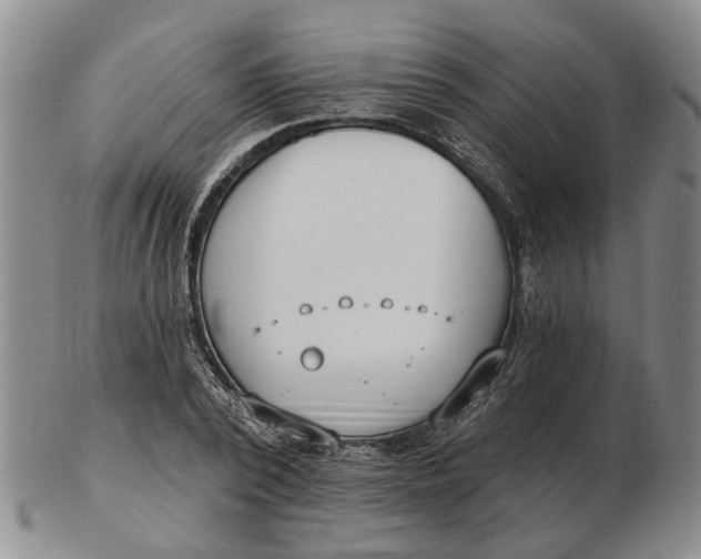 X0000102790784200809081048